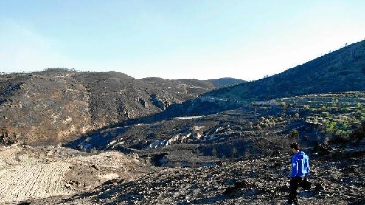 El incendio afectó a varios municipios de la Sierra de Gádor.