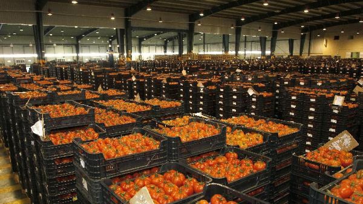 La subasta de CASI ha estado activa todo el verano.