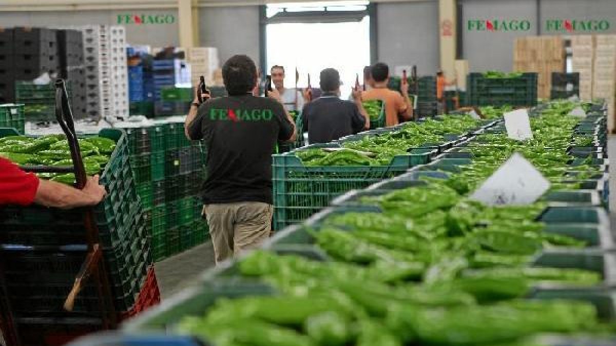 Instalaciones de Femago en plena actividad.