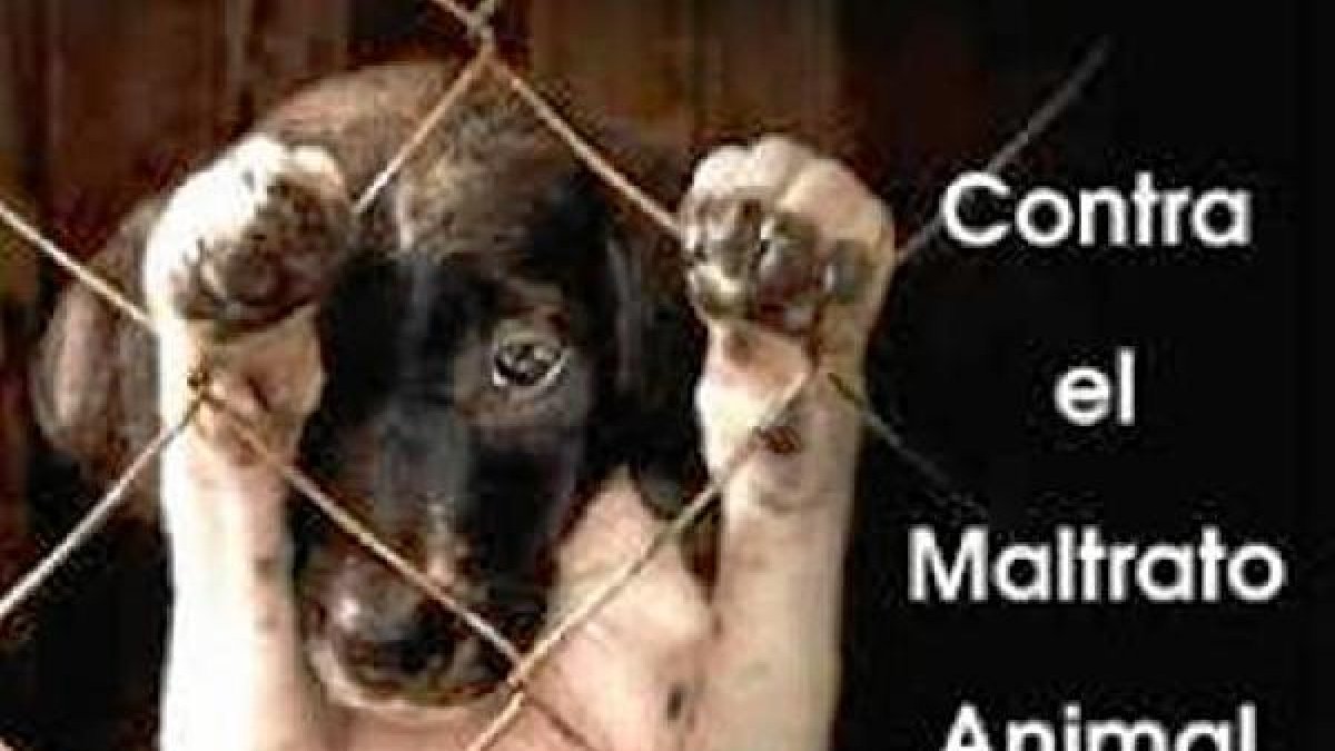 Adra es otro de los municipios que se suma a la protección de los animales.