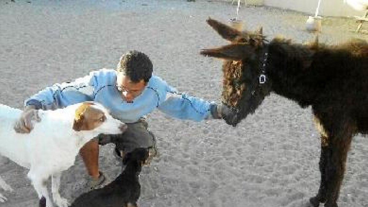El burro en las instalaciones de La Huella Roja.