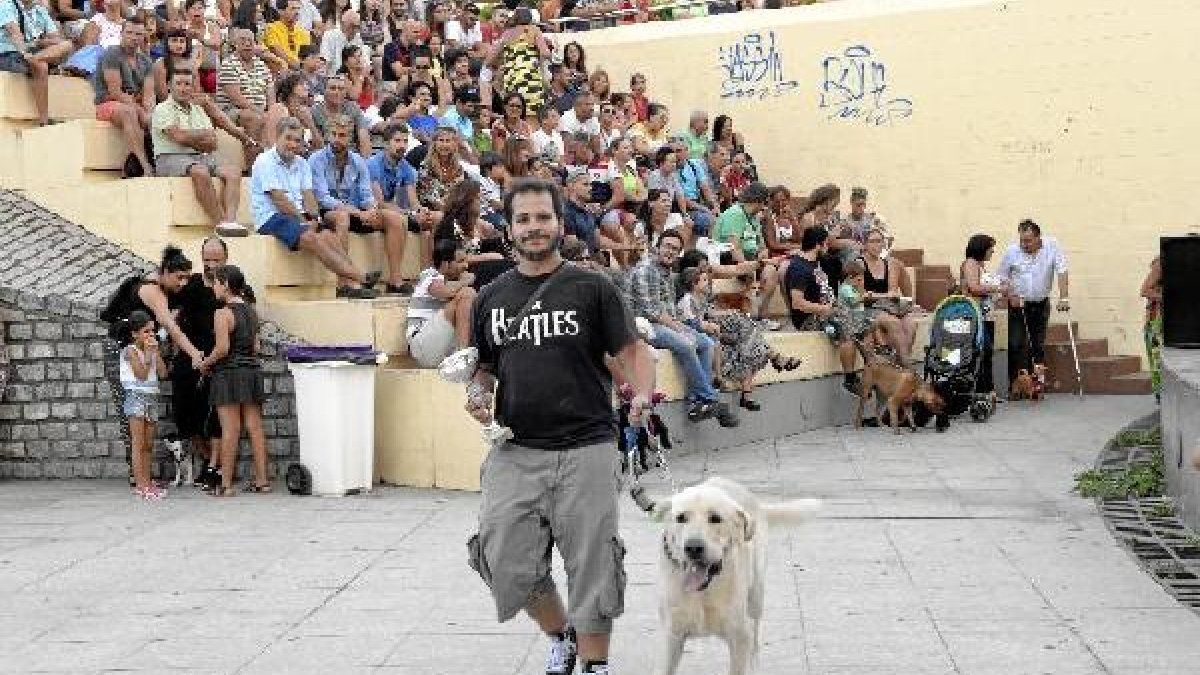 Apolo, el ganador al perro más grande.