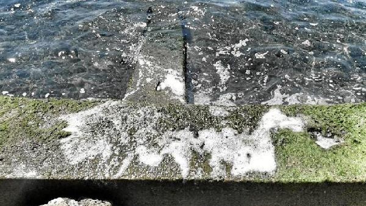 Espuma y restos sólidos de vertidos en la playa de Costacabana en imágenes cedidas por los vecinos.