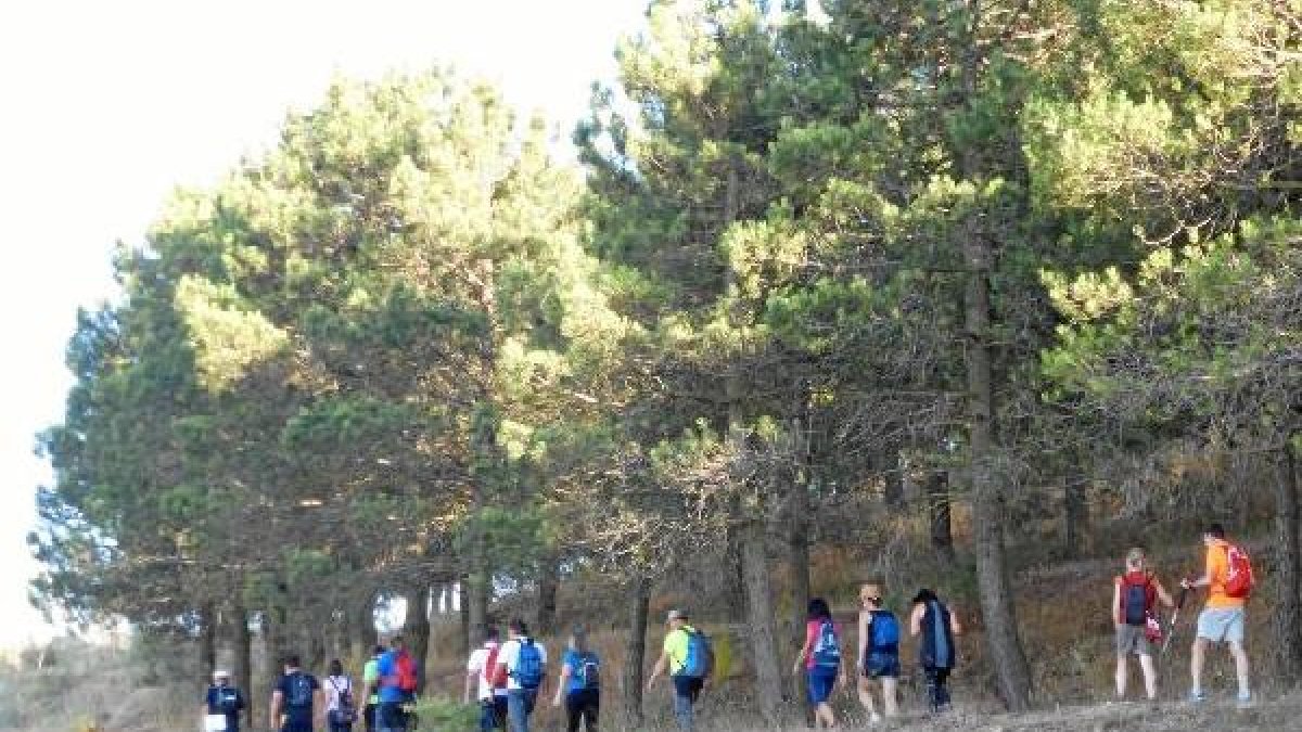 Muchas actividades para todos.