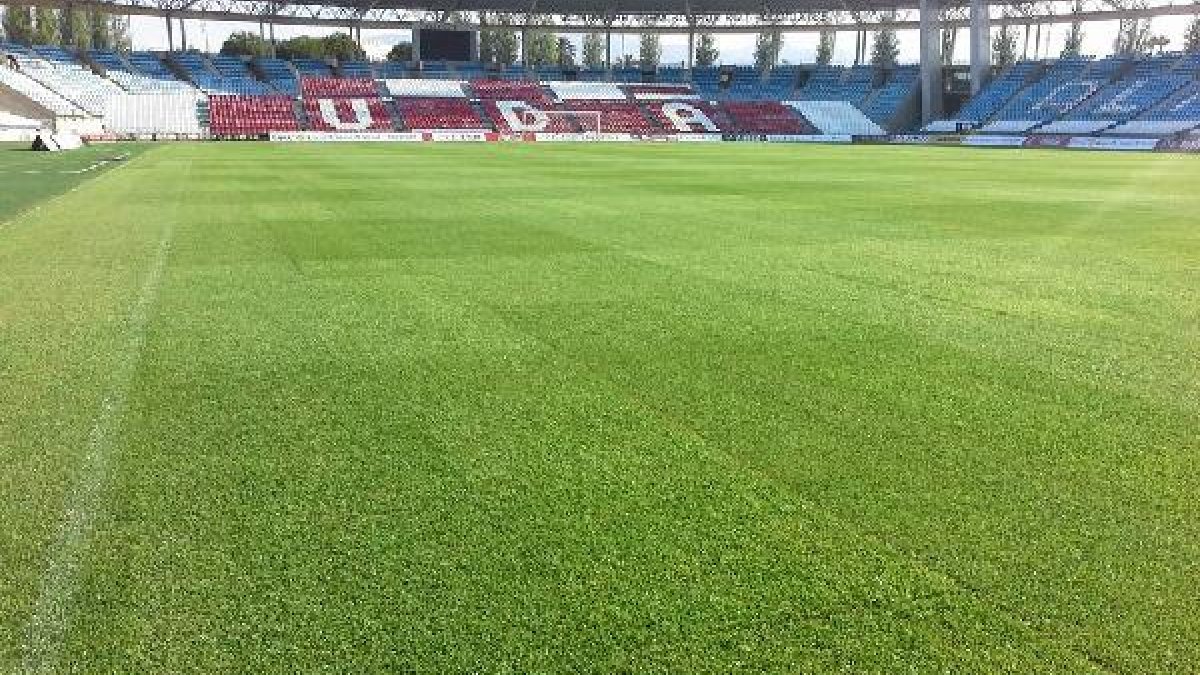 El campo, OK para el domingo.