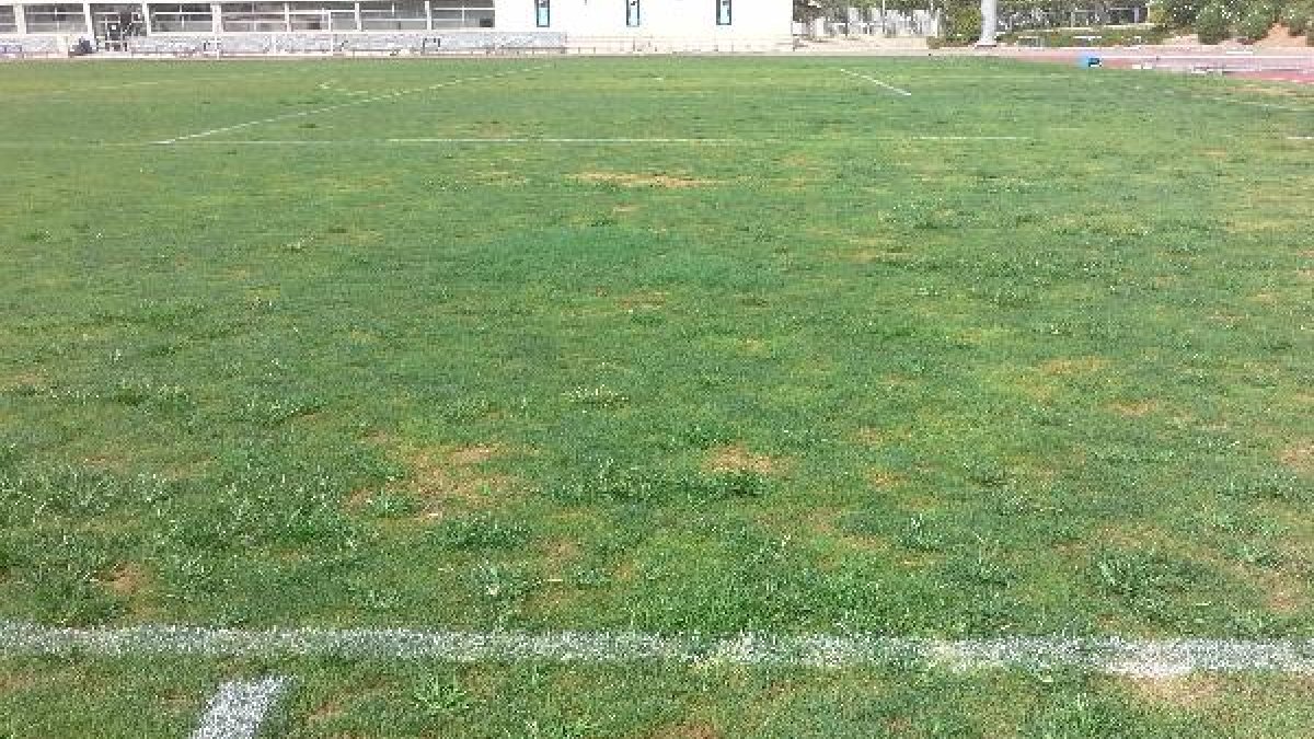 Aspecto del terreno de juego.