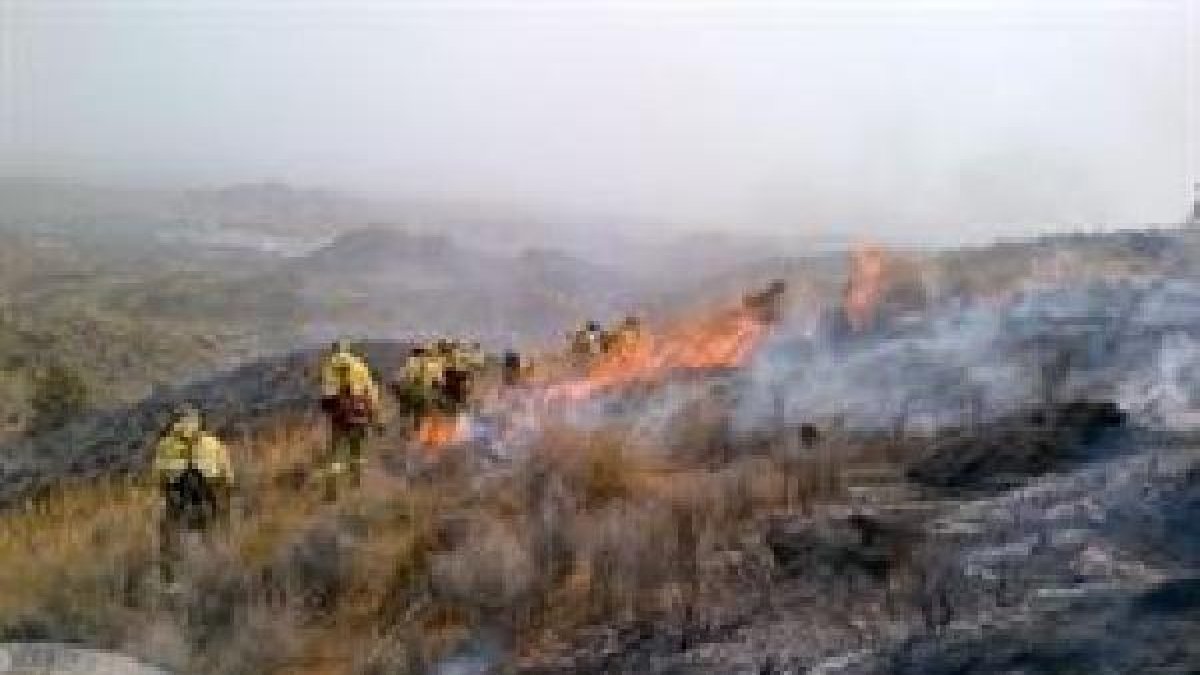 Imagen del Infoca trabajando en la zona.