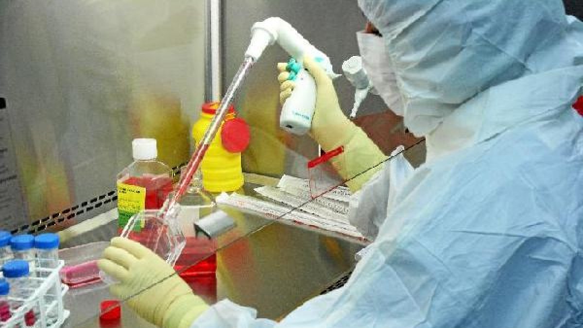 Trabajo de investigación en un laboratorio.