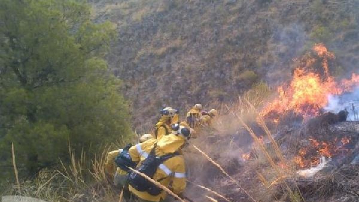 Efectivos del Infoca trabajando hoy sobre el terreno en Cantoria.