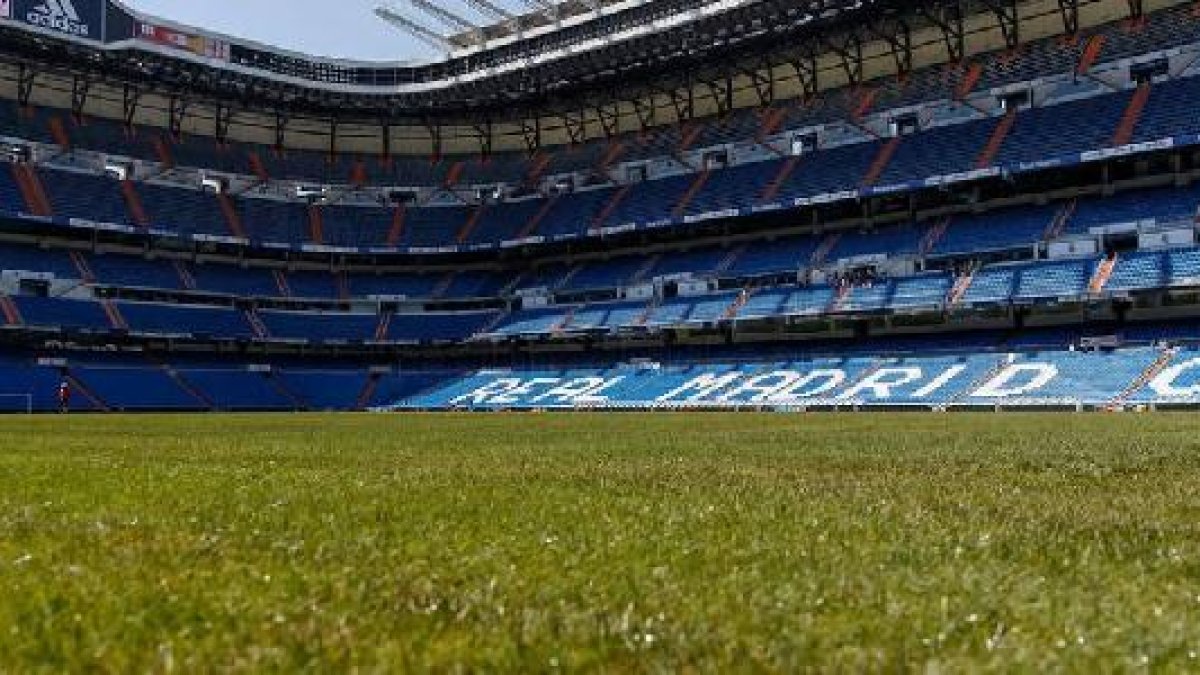 El nuevo césped del Bernabéu.
