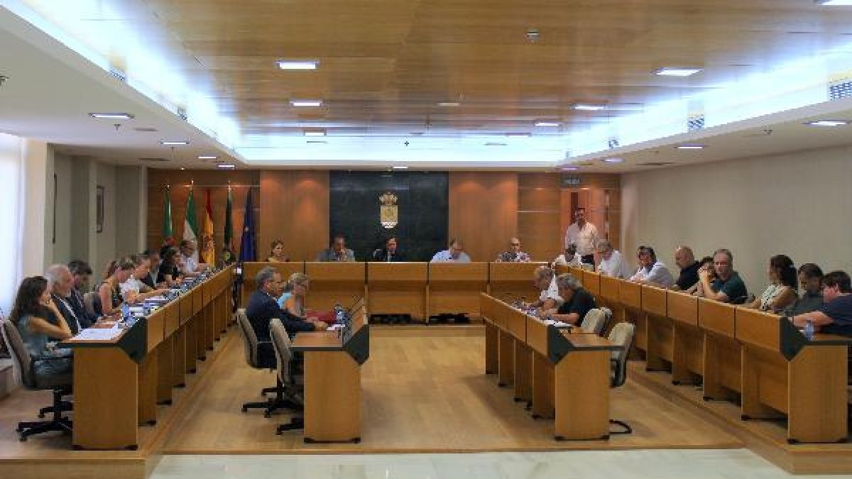 Pleno de la decisión