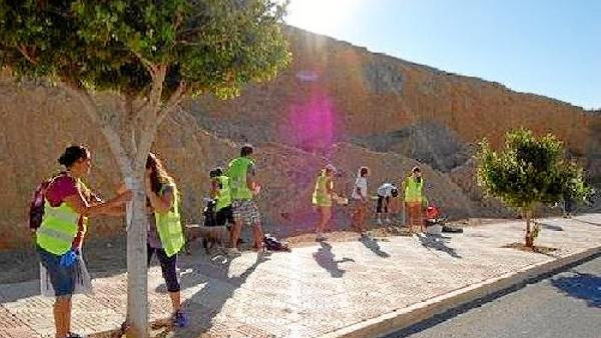 Campaña de recogida de heces del pasado año.