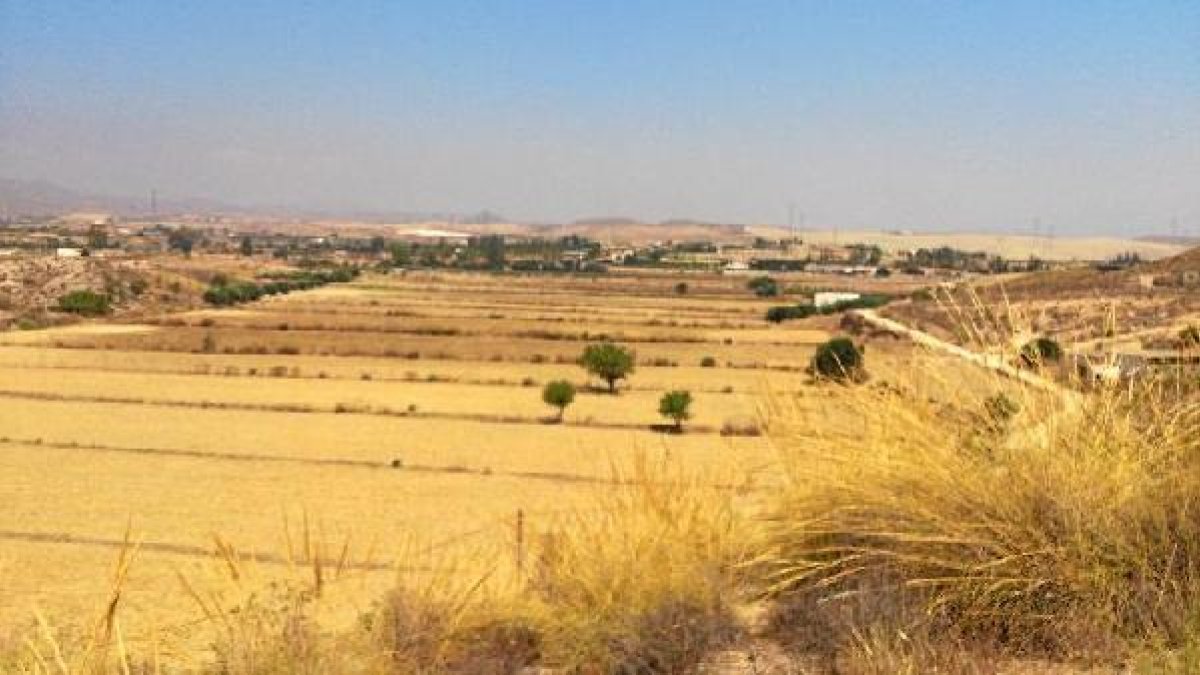 Aspecto actual de terrenos que antes formaban parte de la fértil vega de Turre.