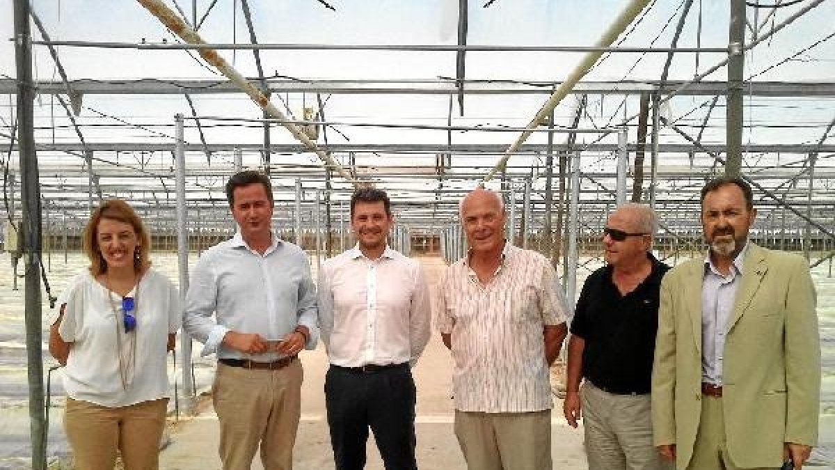 Empresa e instituciones en un invernadero con gas natural