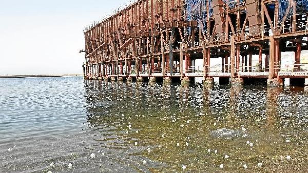 Avanzados los trámites para habilitar una rampa para la botadura de pequeñas embarcaciones entre el club de mar y el Cable Inglés .
