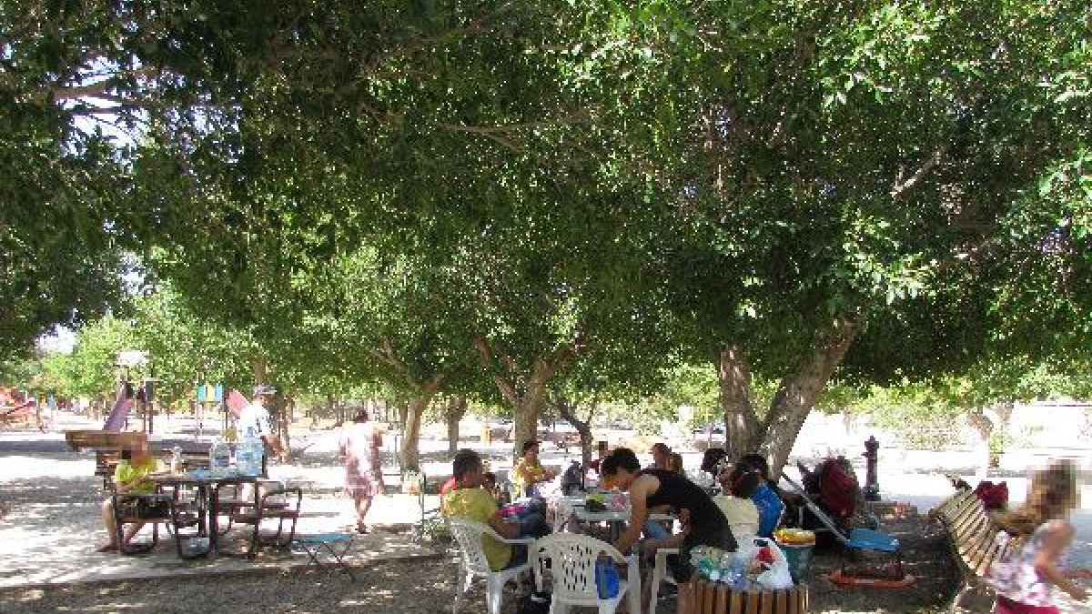 Encuentro de familias de acogida en el Parque del Boticario.