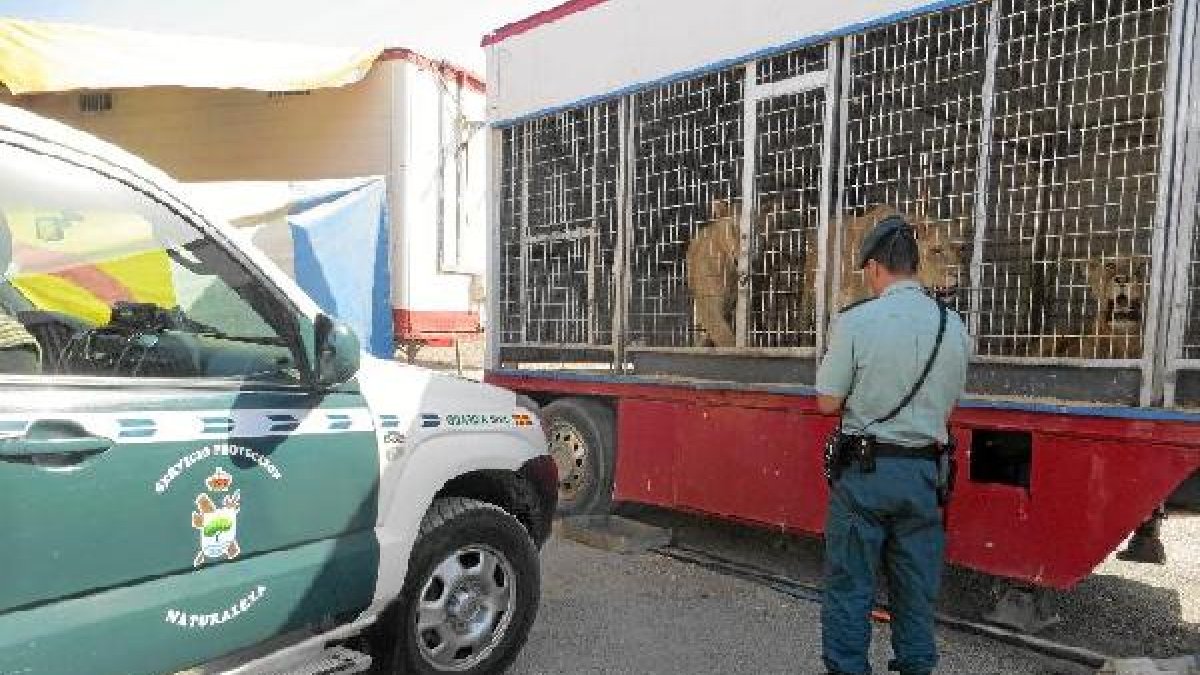 Un agente del Seprona ante las jaulas de los leones