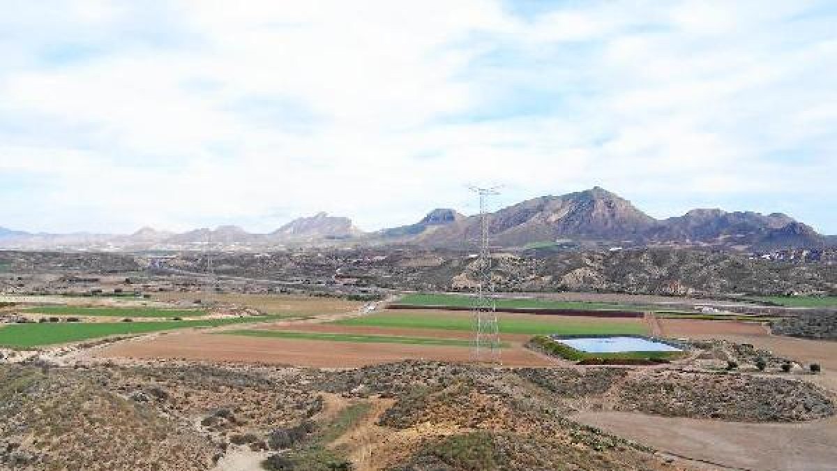Zona de la reserva de la tortuga mora.