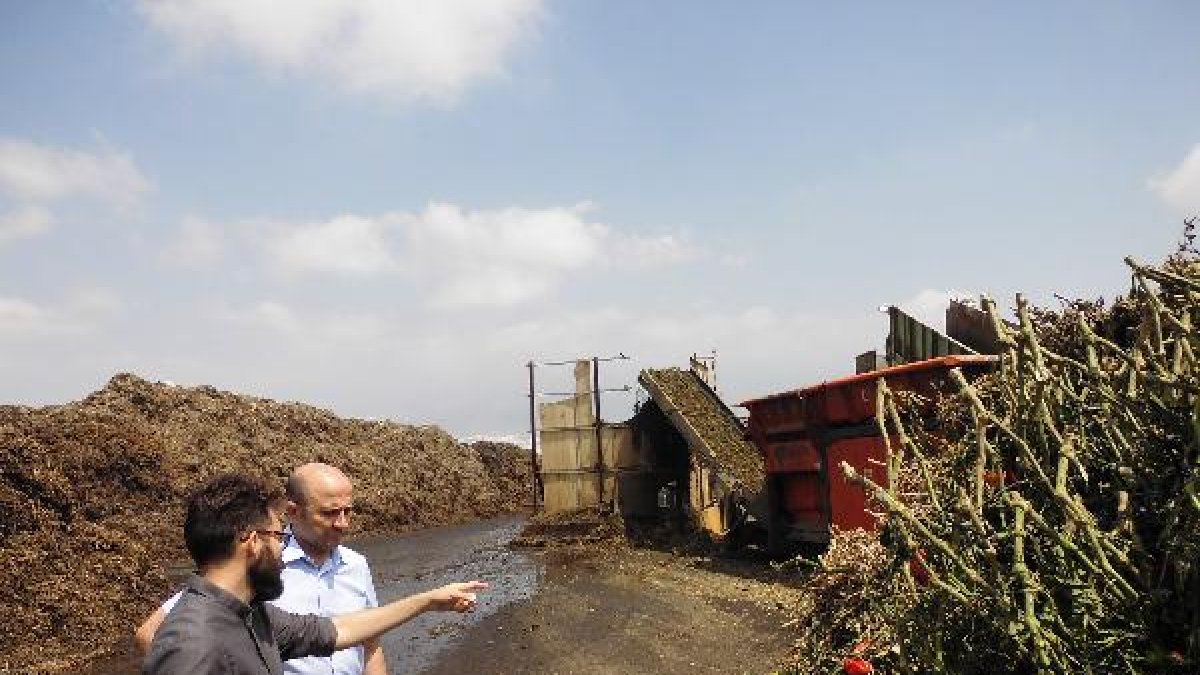 Visita a la planta de compostaje del paraje Las Chozas.