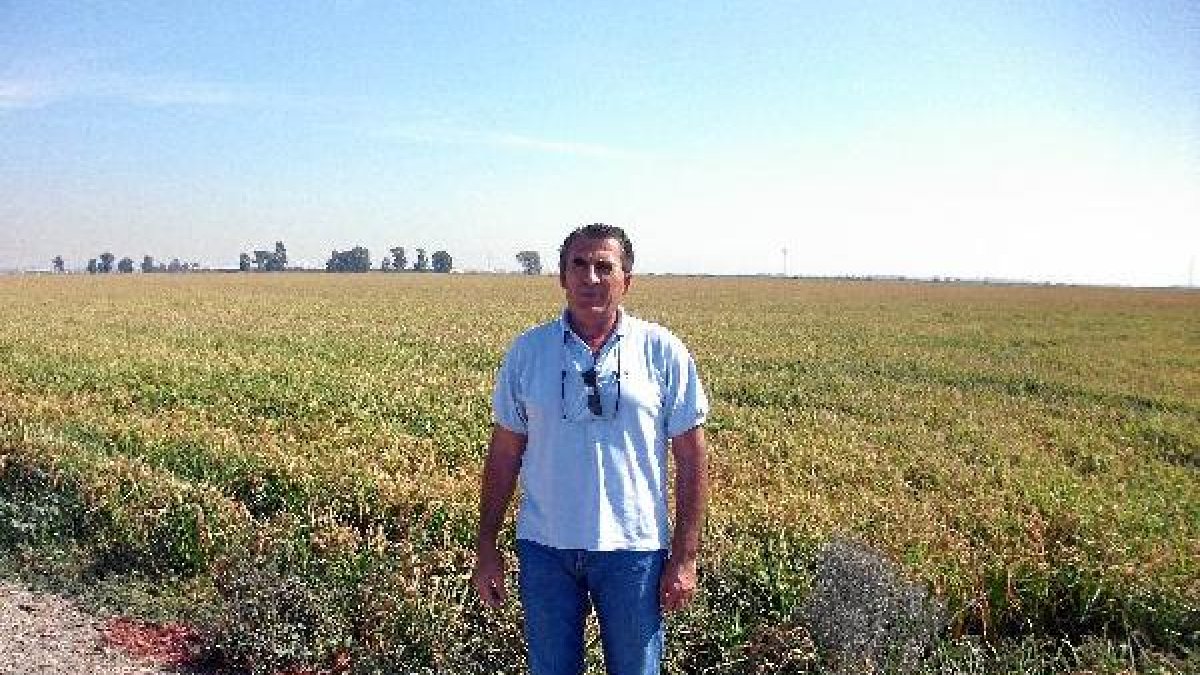 Matías Gómez Cervellera, presidente de SAT Los Guirados.