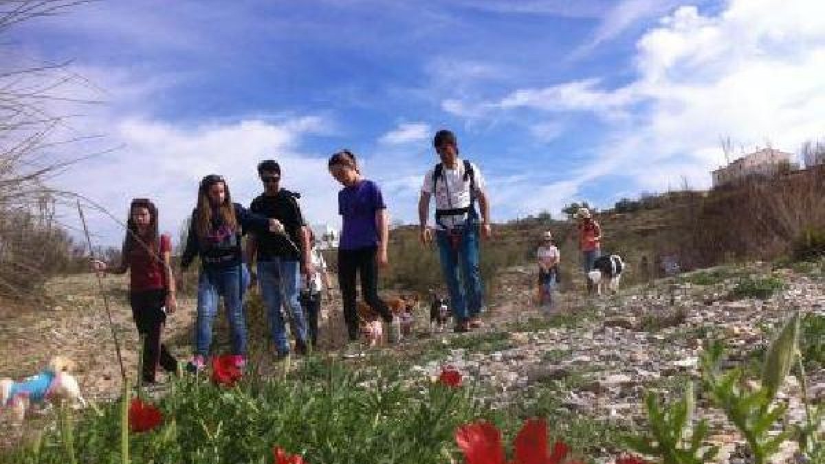 Actividades gratuitas en el Paraje Natural Karst de Yesos en Sorbas
