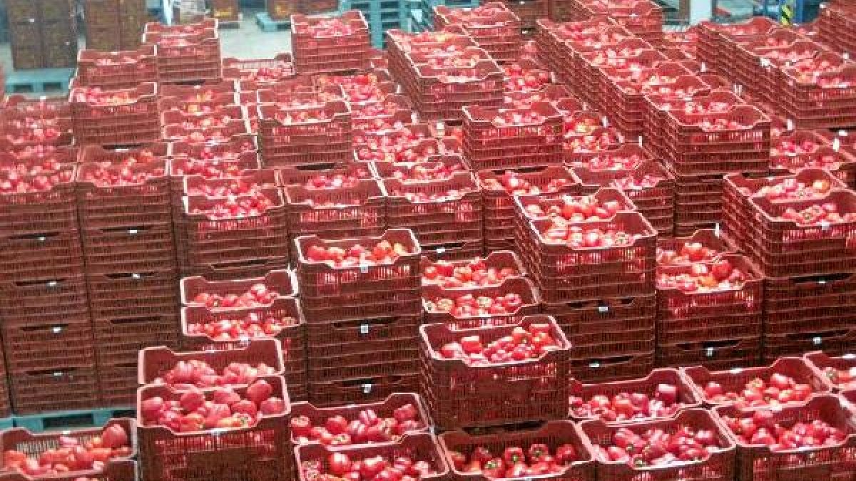 El pimiento, una de las hortalizas afectadas por el veto