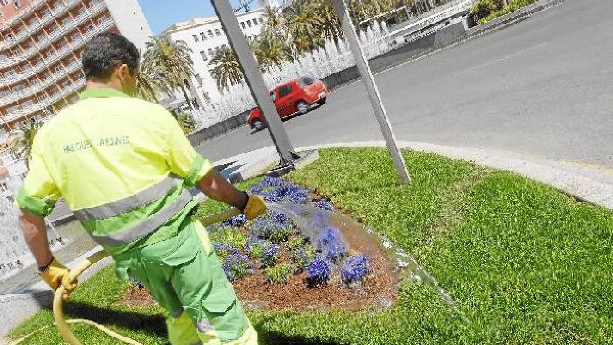 Trabajadores de parques y jardines