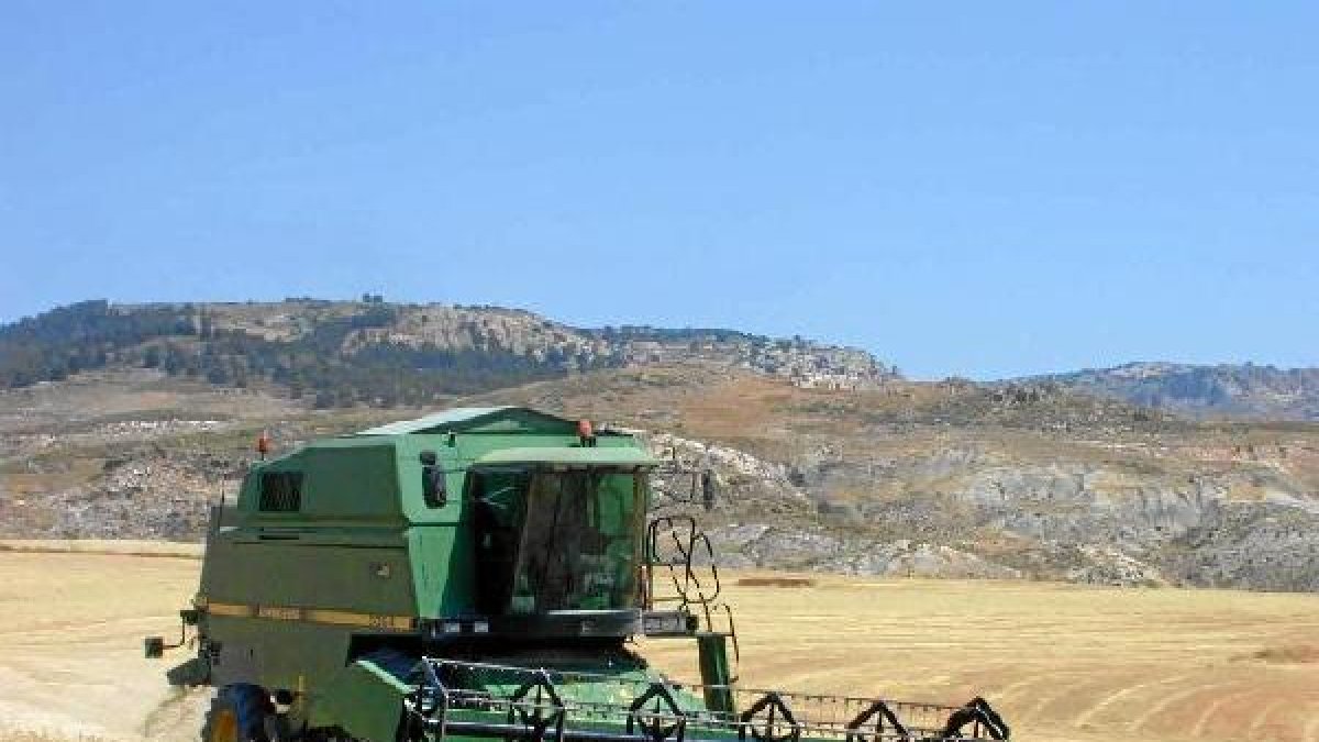 Cereales de secano en la comarca de Los Vélez