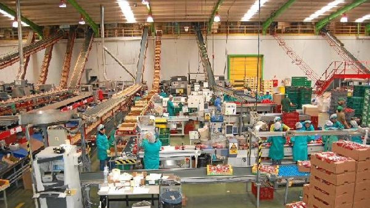 Las hortalizas, producto más exportado por Andalucúa