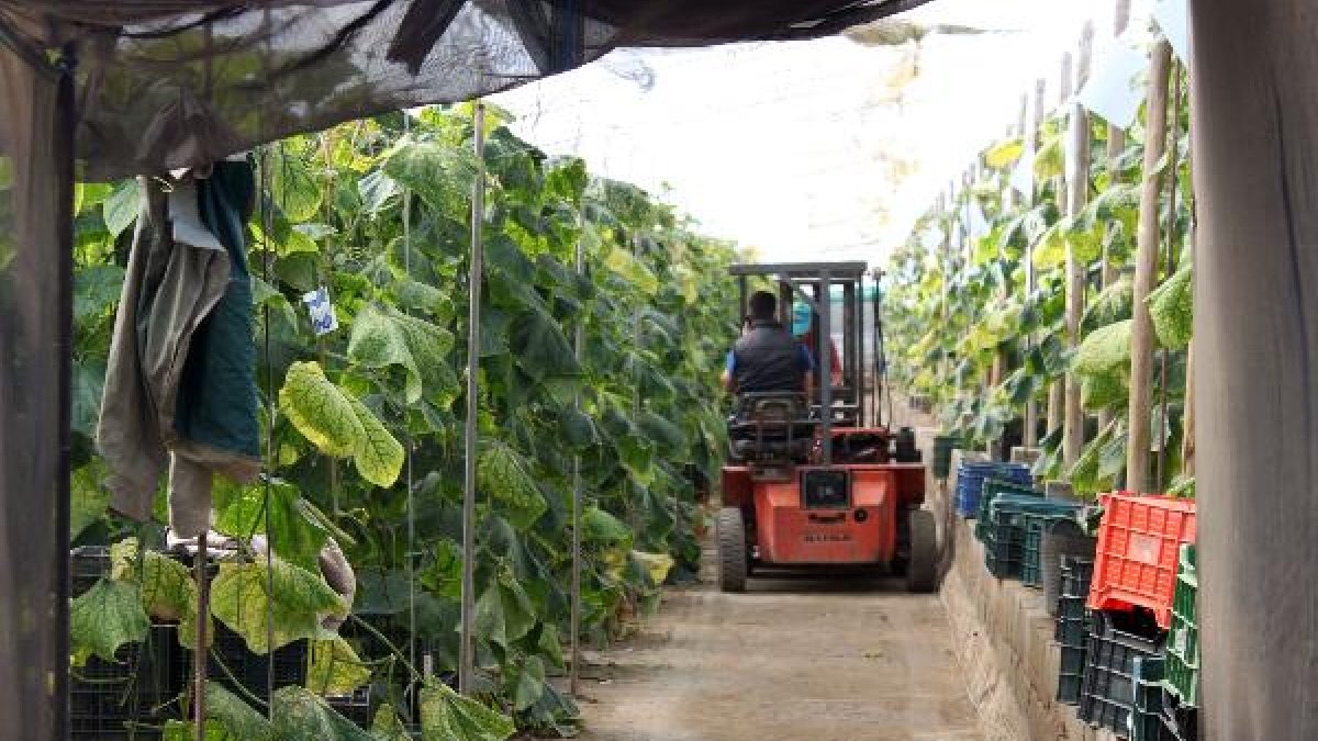 La cuantía del incentivo oscilará entre 30.000 y 70.000 euros.