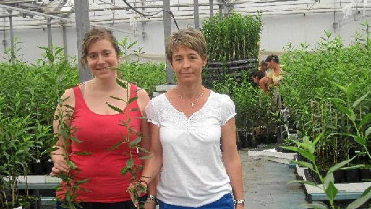 Isabel Santorromán e Isabel Usero muestran plantas de listas para llevar al campo.