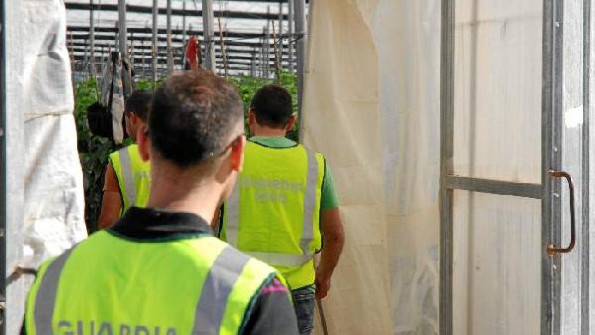 Equipos Roca de la Guardia Civil en Almería