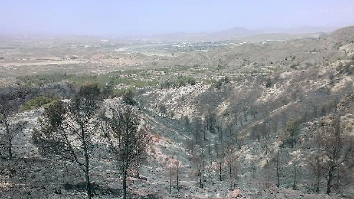 La zona arrasada por el fuego