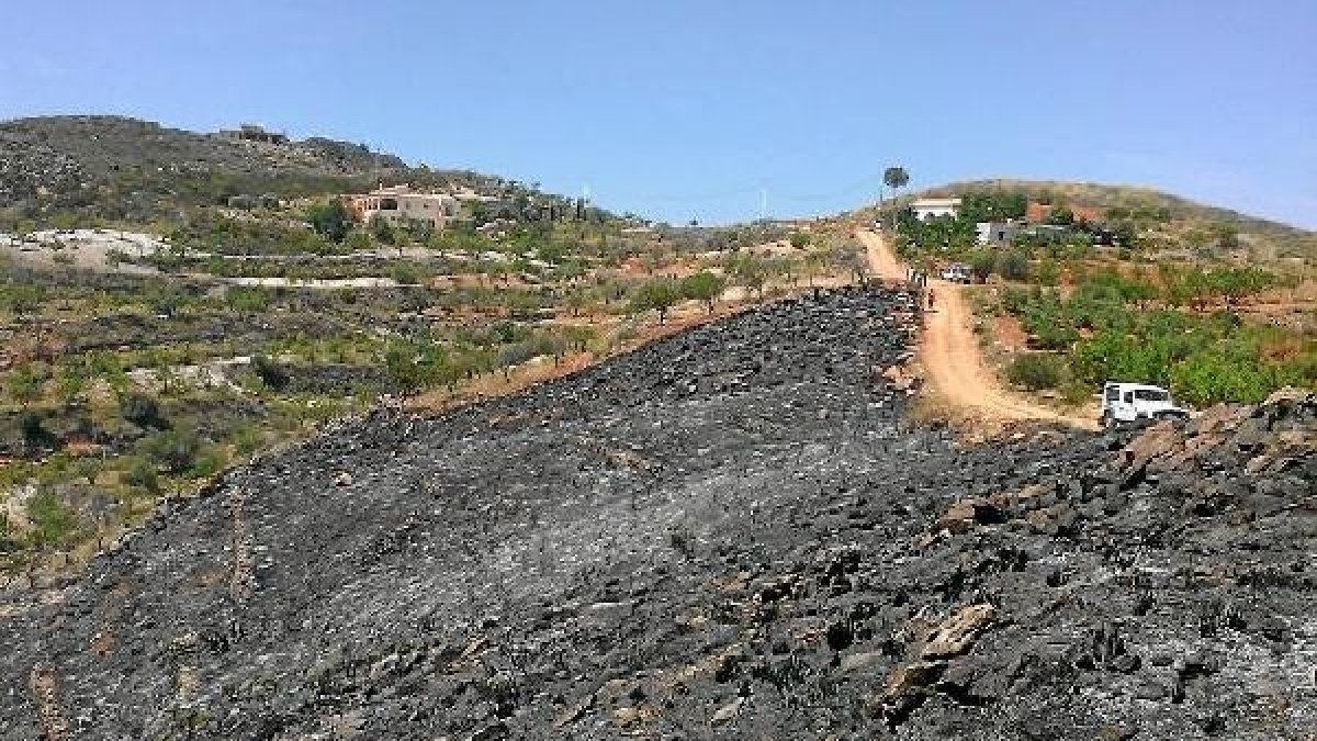 Zona quemada en Los Rubios, tras el fuego de ayer.