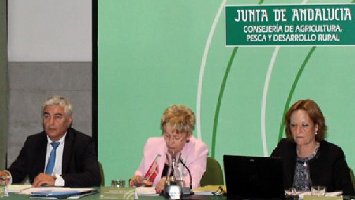 Jerónimo Pérez, Elena Víboras y Carmen Ortiz.