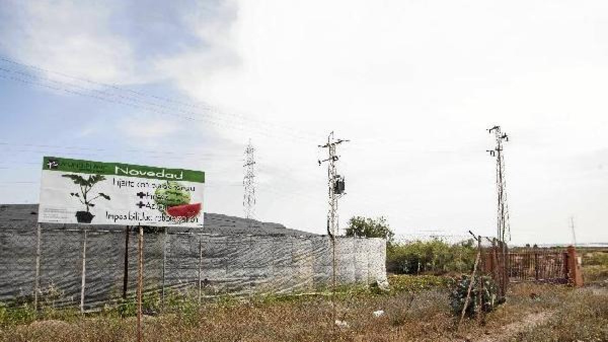 Exterior del semillero, ubicado en Níjar, donde se cometió el segundo crimen.