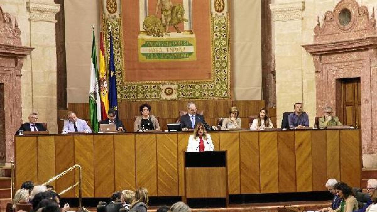 Díaz, en el Pleno de hoy.