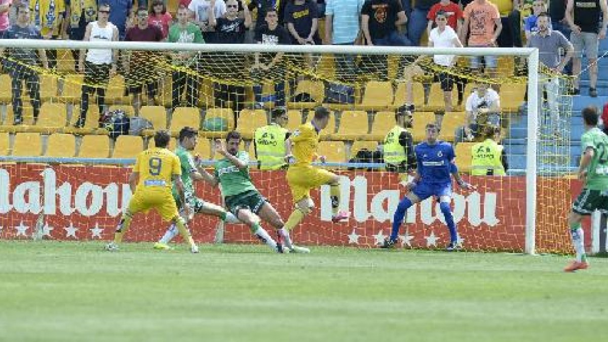 David Rodríguez, en forma.