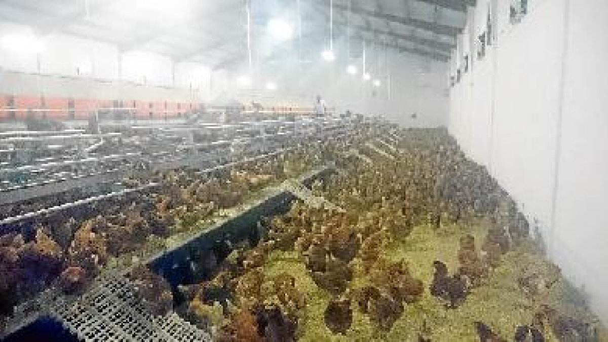 La instalación está a 800 metros de los baños de Alhamilla