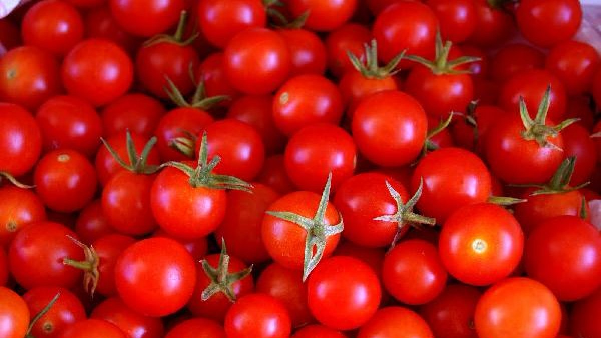 Los envíos de tomate han descendido durante enero y febrero.