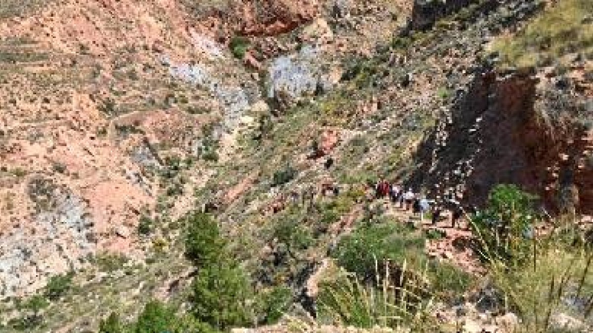 Los participantes en la ruta.