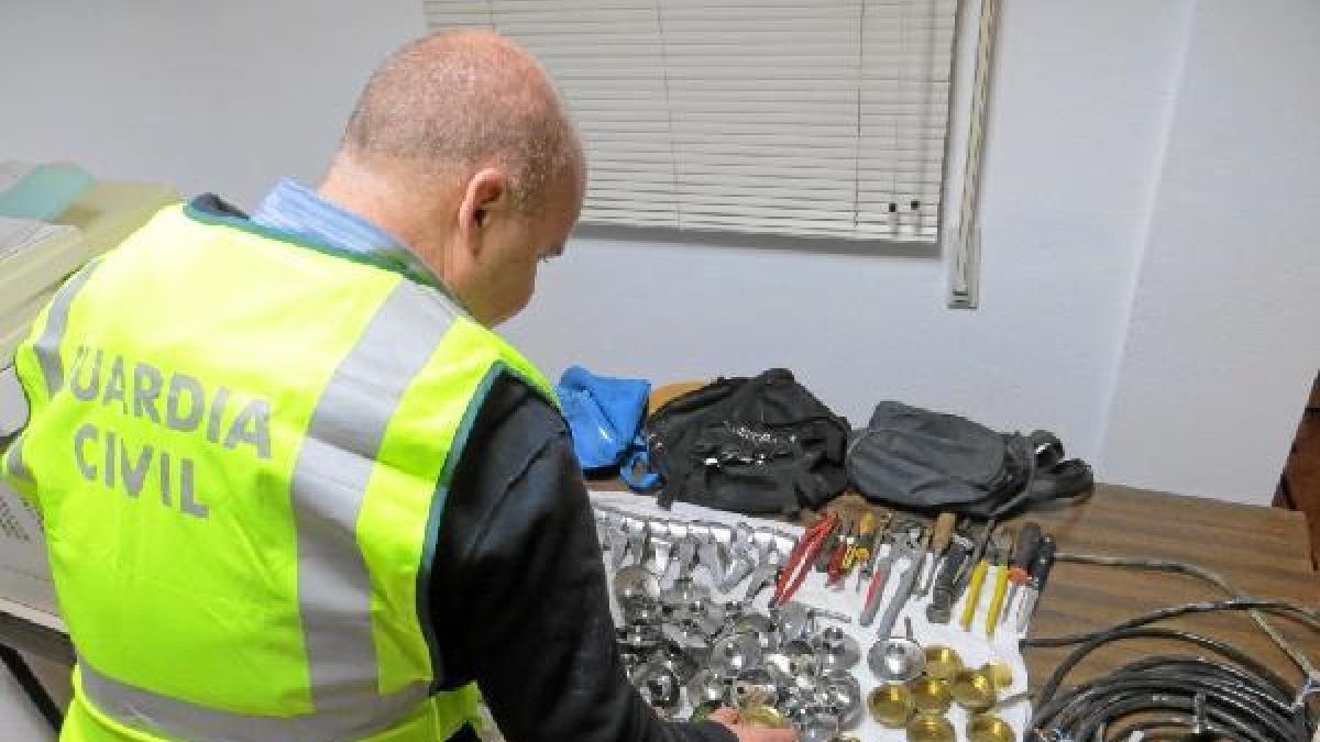 Un agente, con parte del material incautado.