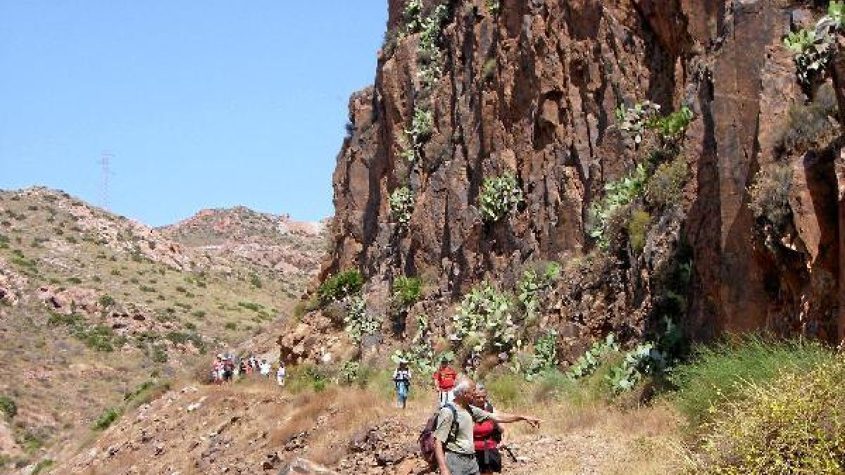 Una actividad de lo más natural en un paraje idílico.