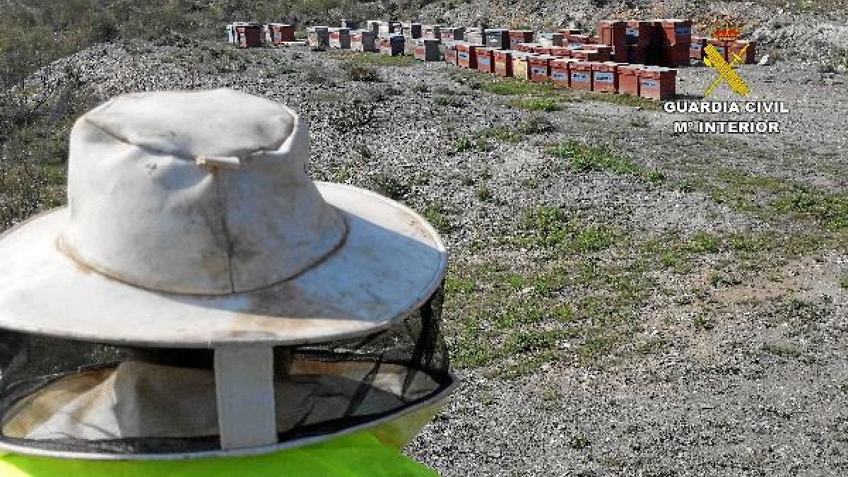 Colmenas localizadas por la Guardia Civil.