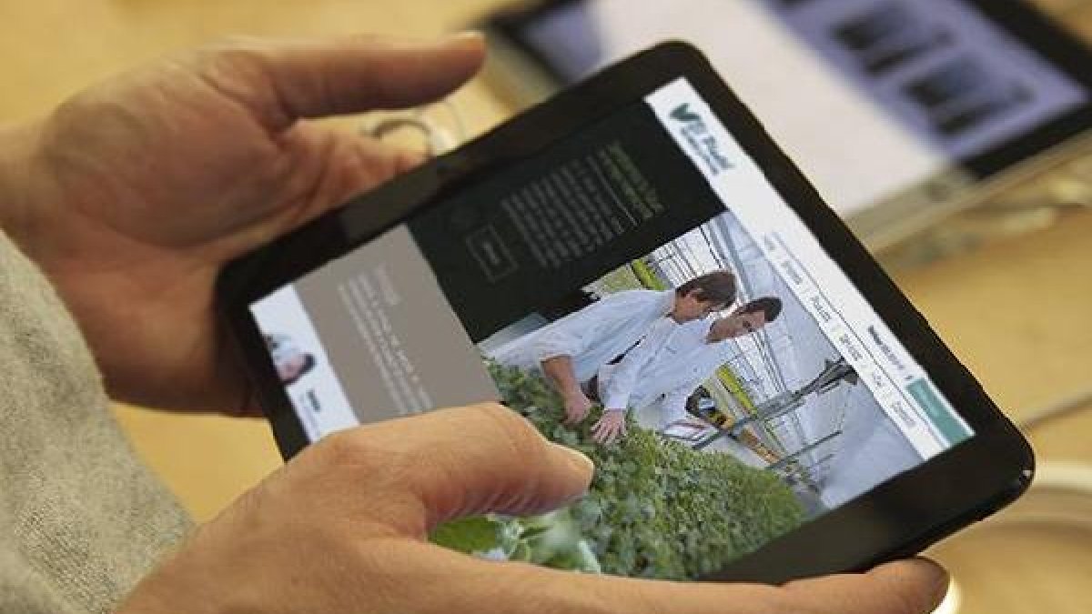 La nueva web puede visualizarse en todos los dispositivos móviles y tablets.
