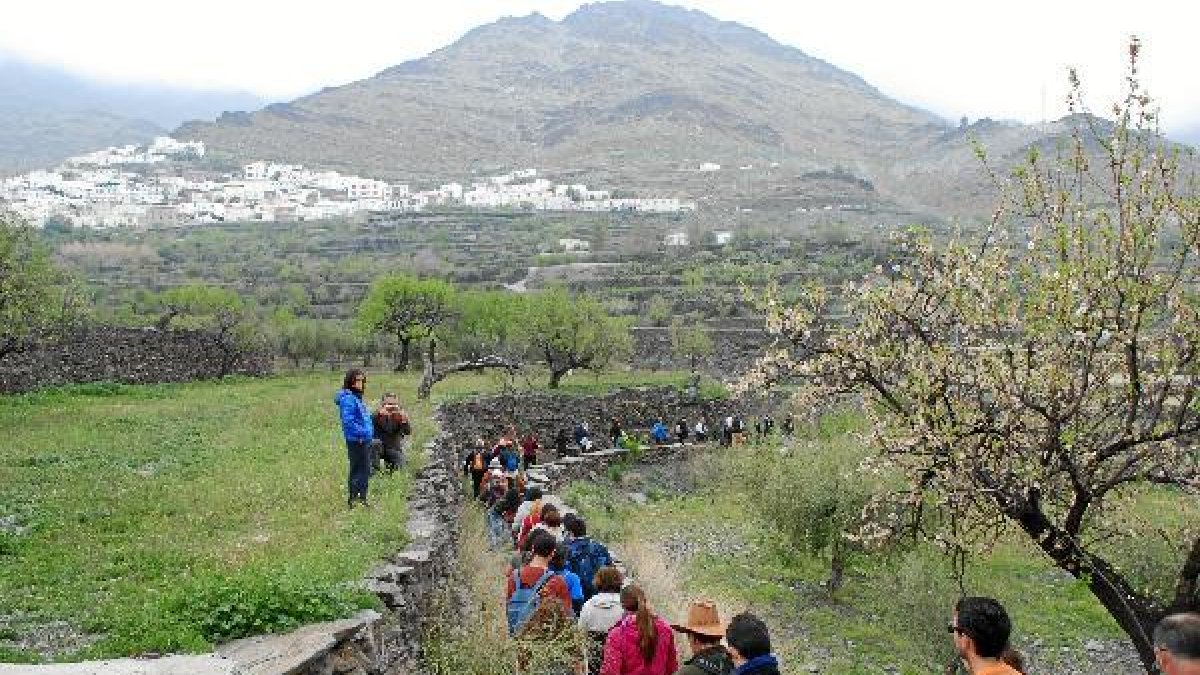 Participantes en una de las dos jornadas.