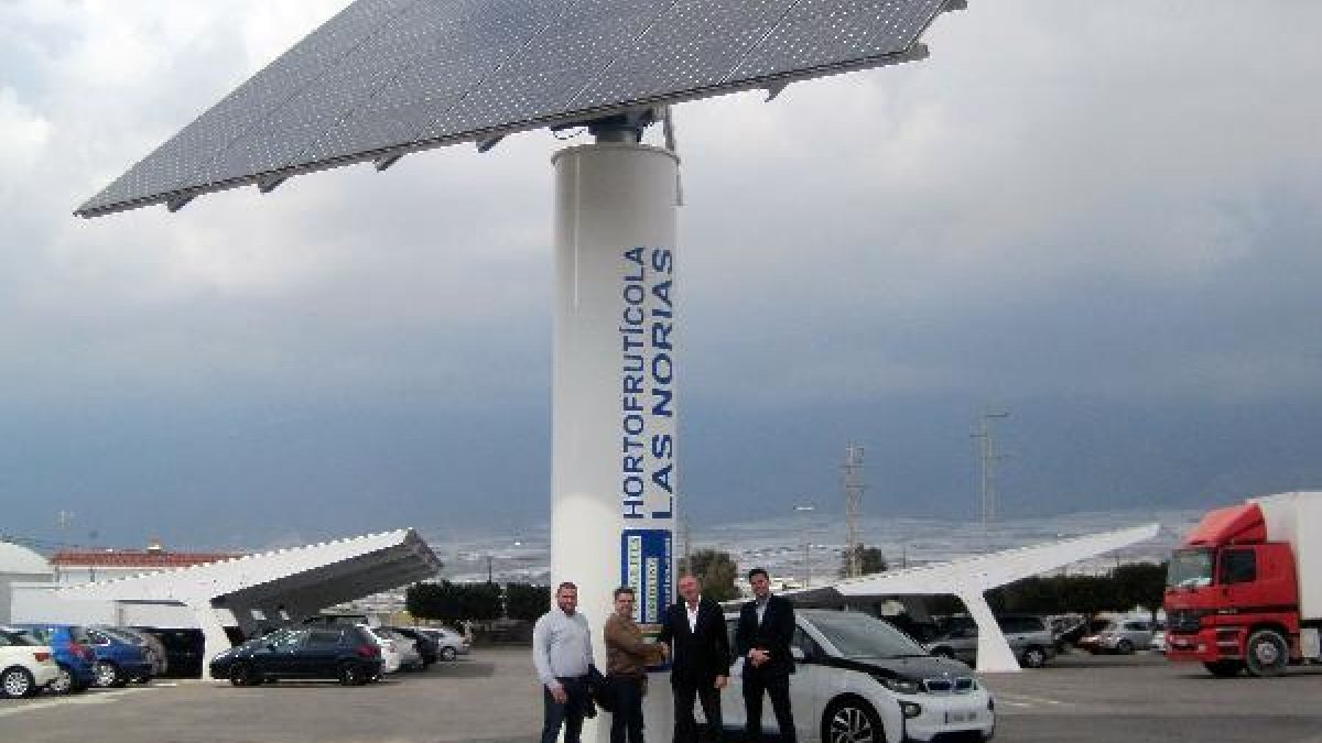 Torre instalada en Hortofrutícola Las Norias.