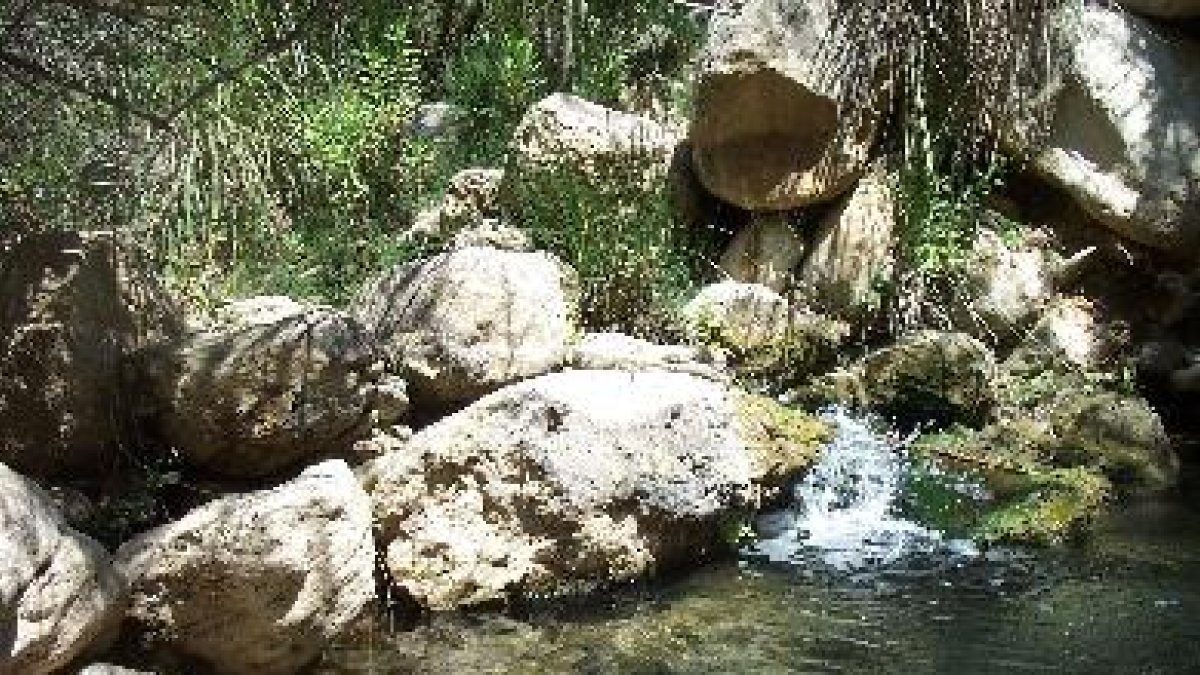 El río Aguas se está desecando y lo relacionan con esta finca ahora investigada indirectamente