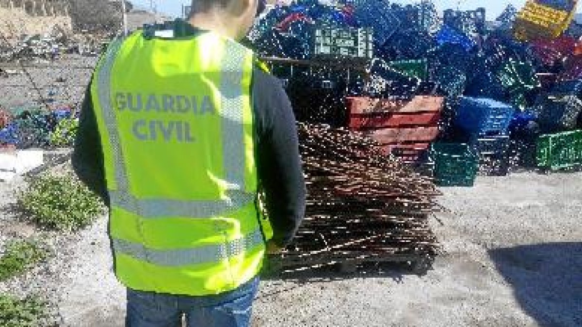 Material sustraído de una explotación agrícola.