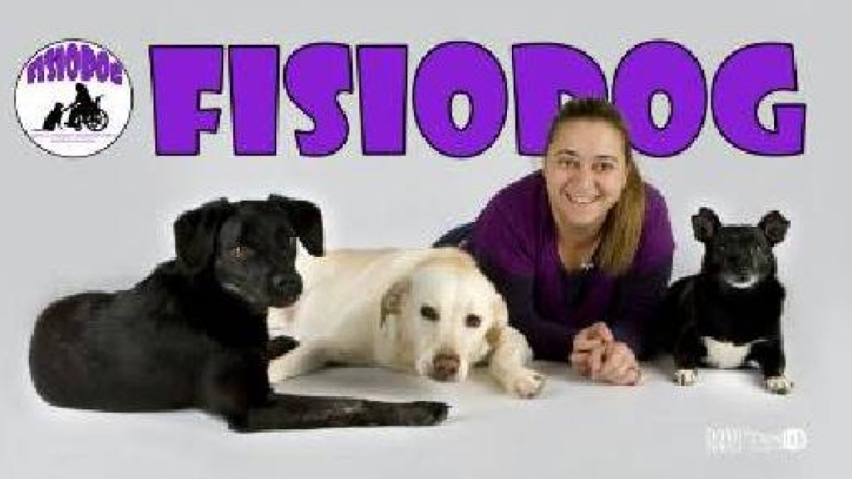 Talleres gratuitos para los peques con perros de terapia en Hospital Vithas Virgen del Mar